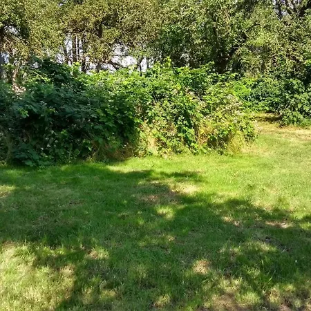 Apartment Gute Stube